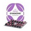 Evanova (20 caps), Evanova,
