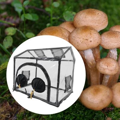 Mini Greenhouse Garden Planting Beds Versatile 60x40x50cm Mushroom Grow Pouch Growing Pot for Yard