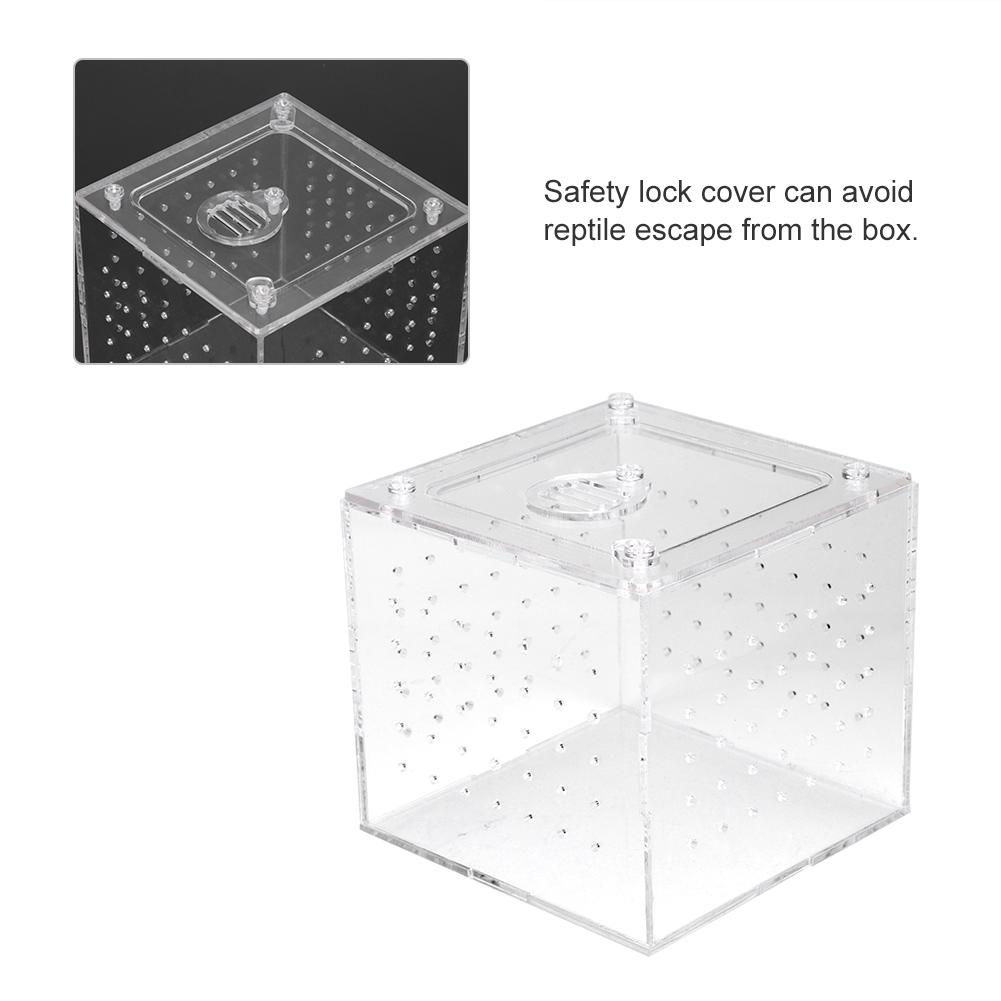 1Pc Reptile Terrarium Feeder Snakes Spider Lizard Breeding Acrylic Box Case Insects House