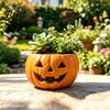 Decorative Plant Container for Tabletop Halloween Pumpkin Planter Resin Jack-O-Lantern Flower Pot Holiday Display Home Pot Succulents Fall