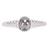Coffee Cooling Ball Reusable Maintains Pure Flavor Stainless Steel Coffee Chilling Ball
