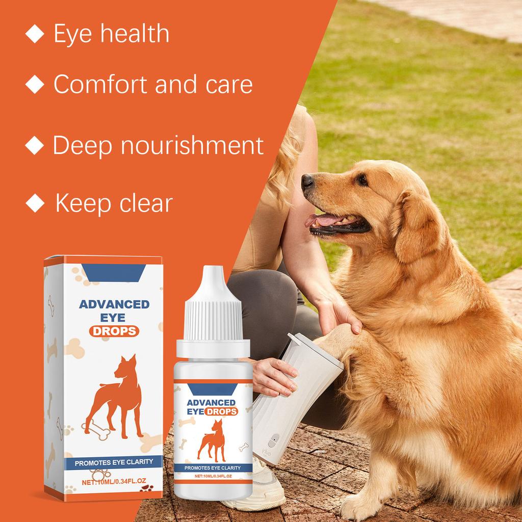 Advanced Eye Drops;Cataract Drops For Pets;Eye Lubricating Drops For Dog &  Cats Mild Ingredients In Eye Tissue And Muscles10ml  buy the best products  in the Ayzeze online store