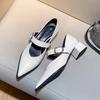 Elegant Designer Vintage Silvery Pointed Toe Women Mary Jane Shoes Fashion Shallow Casual Low Heel Dress Shoes Zapatos Mujer
