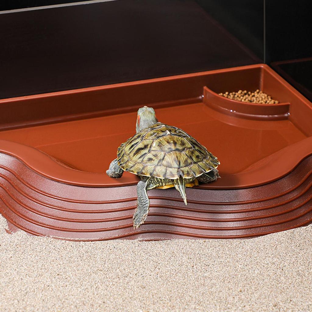 Reptile Bathing Pool for Tortoises And Bearded Dragons with Food Water Bowl