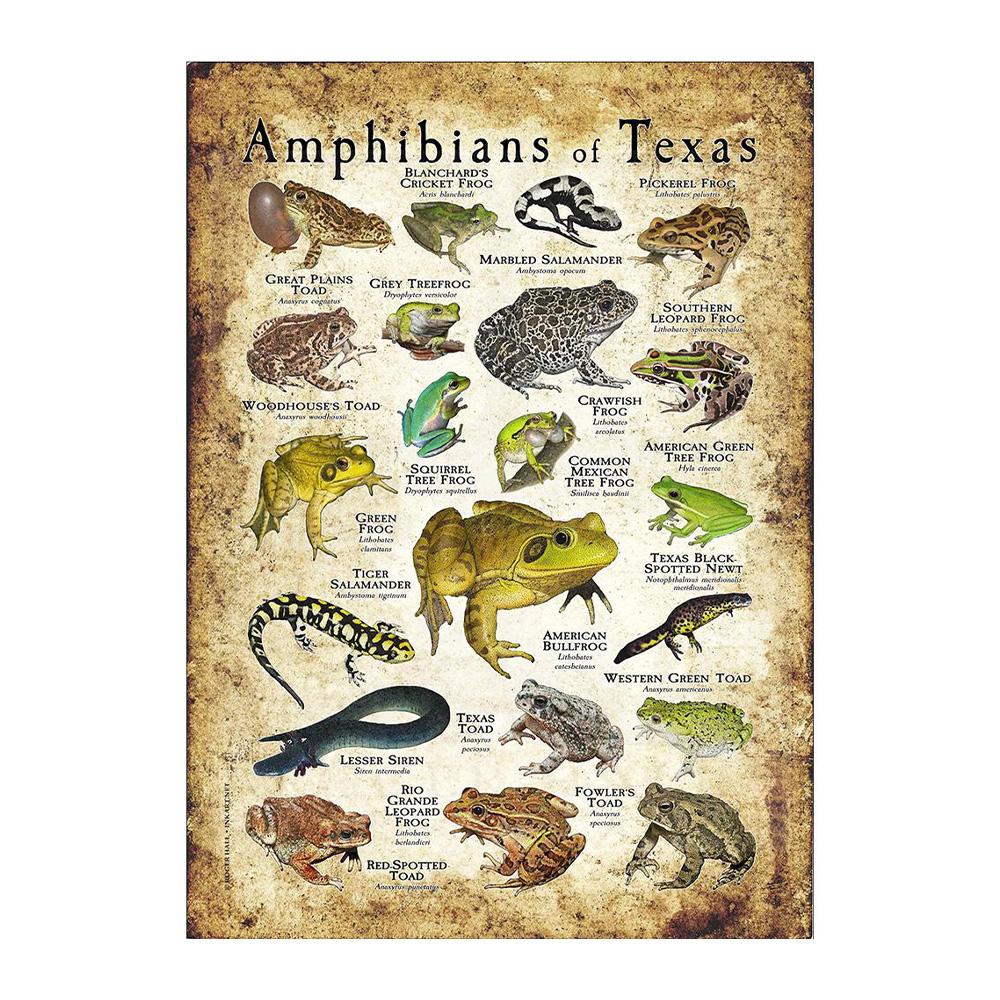 Abstrakt HD-tryck Fjäril Groda Fåglar Haj Marina Djur Collage Poster Canvas Målning Vintage Väggkonst För Barn Sovrum Heminredning