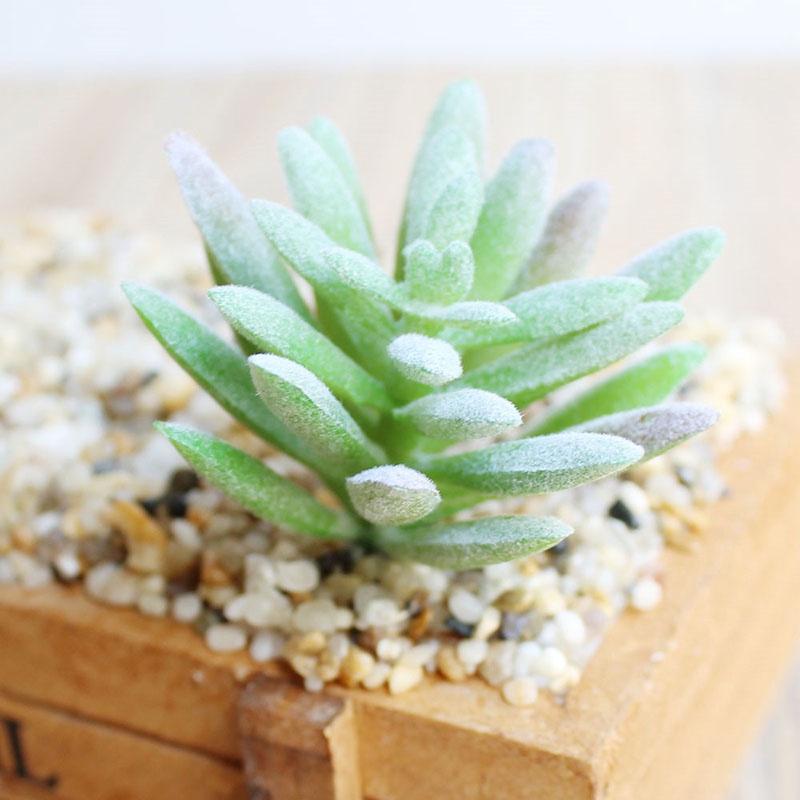 Beautifully Crafted Mini Artificial Succulents For Lifelike Home Office Decor