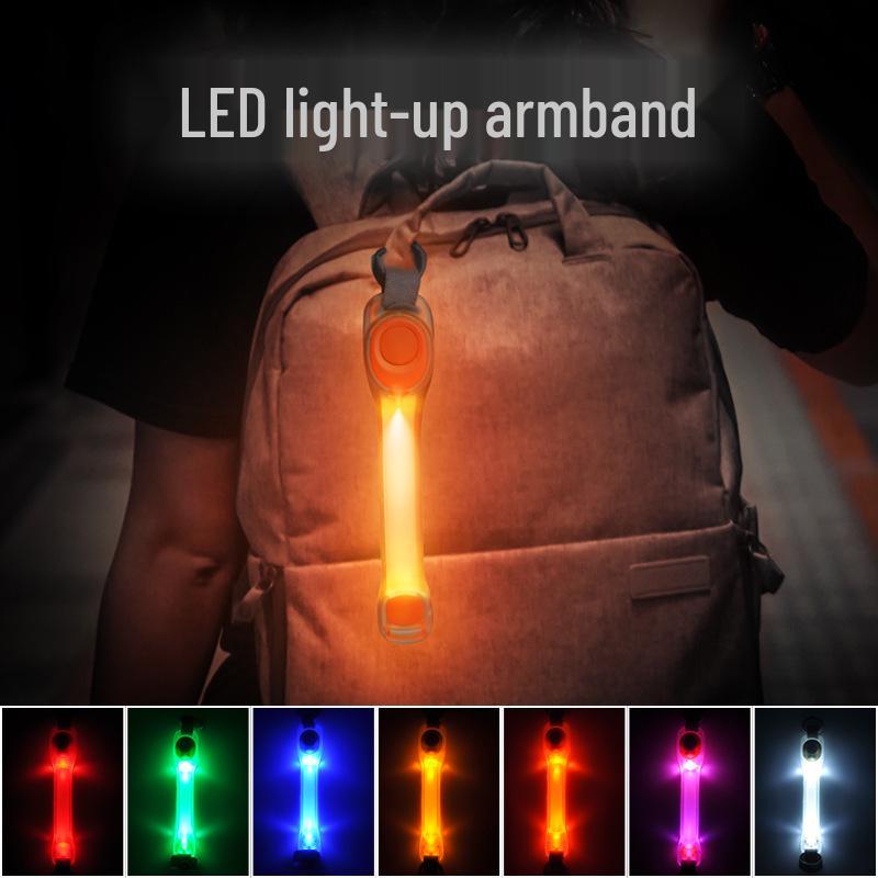 LED Blinkendes Haustierhalsband & Leine Set