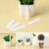 100Pcs PVC Greenhouse  Seeds Waterproof Nursery Pot Garden Tools Seedling Tags Plants Label