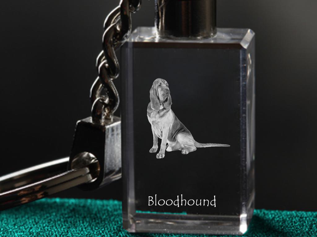 Bloodhound, St. Hubert Hound, Sleuth-hound - Crystal Key Ring with Dog Photo, Illuminated Key Ring, Unique Gift by Art-Dog Brand