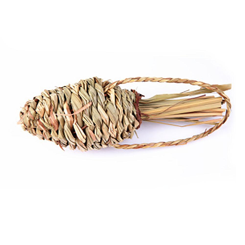 Lovely Grass Carrot Grinding Toy for Small Pets Hamster Squirrel Guinea Pig Rabbit