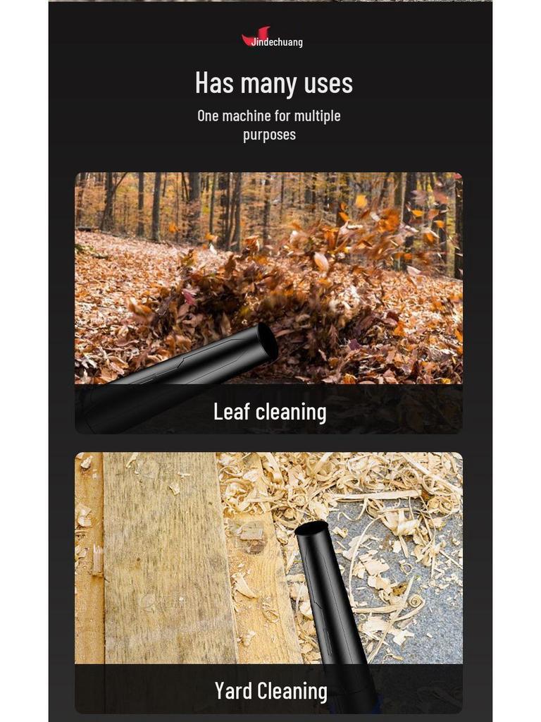 220V Leistungsstarker Industrieller Haartrockner & Staubabsauger