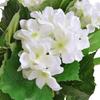 VidaXL Plante hortensia artificielle avec pot 60 cm Blanc