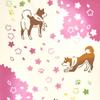 Miyamoto Towel Miyamoto Kenema Tenugui Hand 35cm X 50204 Co., Ltd. Towel, "Spring Walk," Approx. 90cm,