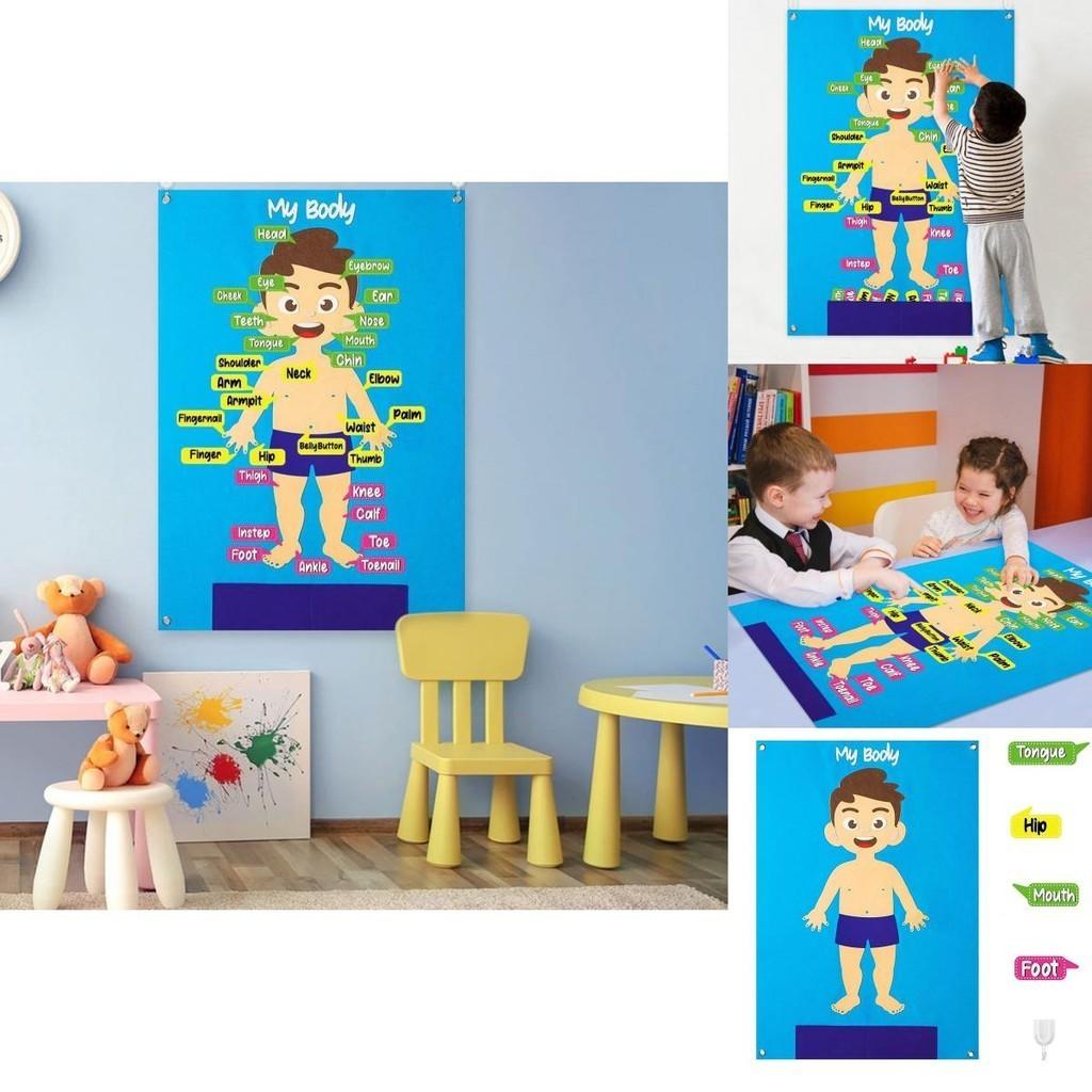 Puzzle Board Struttura Corporea in Feltro per Bambini con Immagini degli Organi