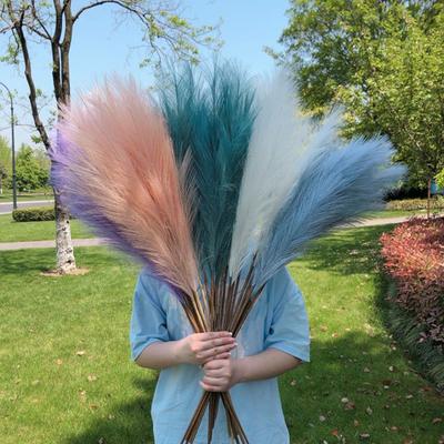 10 pezzi decorazioni in erba di pampa artificiale realistiche colori vivaci resistenti allo sbiadimento centrotavola per matrimoni finte decorazioni in erba di pampa