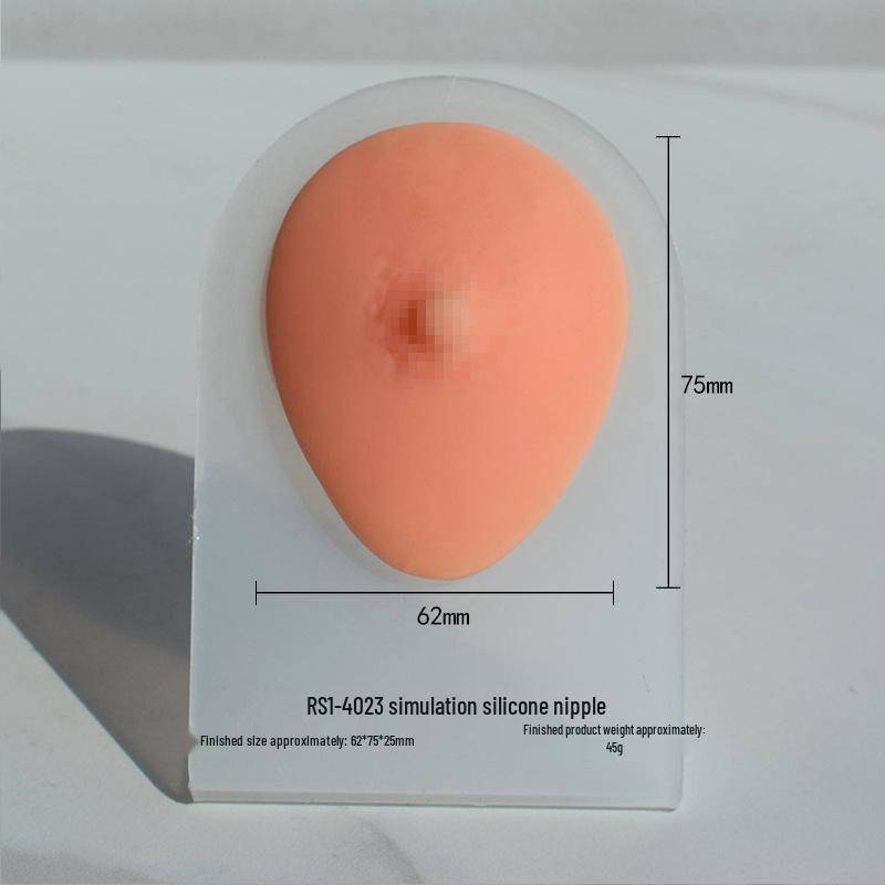 Silicone Ear Model for Piercing Jewelry Display