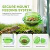 2pcs Plastic Suction Cup Feeder Green Lizard Feeder Bowl Practical Chameleon Feeder Dish  Reptiles