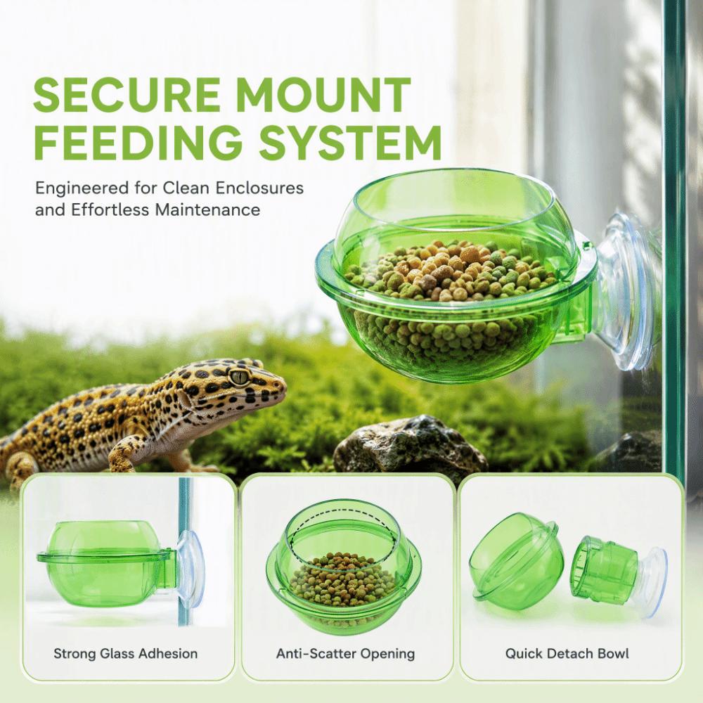 2pcs Plastic Suction Cup Feeder Green Lizard Feeder Bowl Practical Chameleon Feeder Dish Reptiles