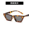 Fashion Retro Cat Eye Sunglasses Women Vintage Shades UV400 Protection Sexy Street Wear Jennie Eyewear Jinue Oculos