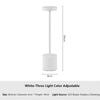 1200MAH USB Rechargeable LED Table Lamp Touch Switch Three Colors Metal Desk Lamp Bedside Lamp Hotel Bar Bedroom Decoration Night Light