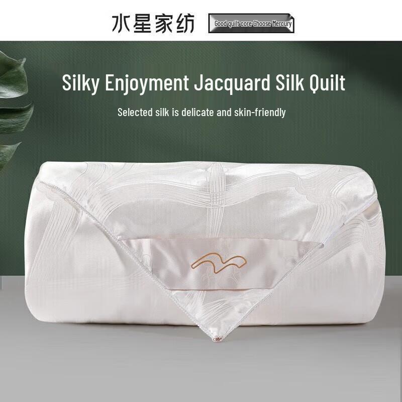 

Mercury Home Textiles European Jacquard Silk Quilt