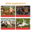 Elektrisches Haarentfernungsgerät Wiederaufladbare Modelle Federentfernungsmaschine Huhn Ente Gans Automatischer Epilierer Enthaarung