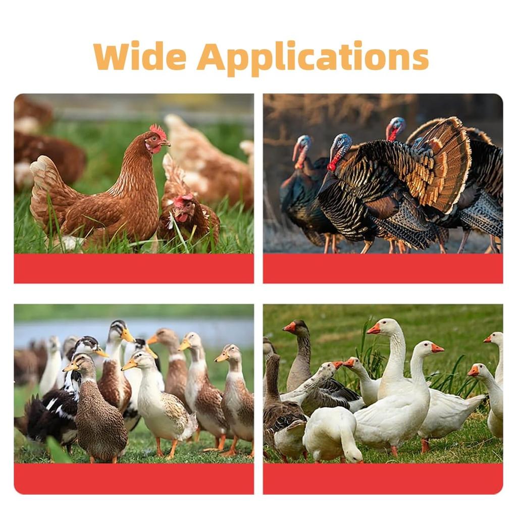 Elektrisches Haarentfernungsgerät Wiederaufladbare Modelle Federentfernungsmaschine Huhn Ente Gans Automatischer Epilierer Enthaarung