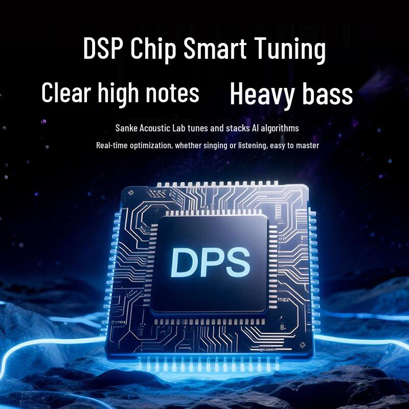 SAST SA-258plus Portable Karaoke Speaker with Display CN Plug (adapter Included)