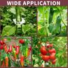 500/50Pcs Plastic Plant Support Clips Reusable Plant Vine Protection Grafting Fixing Tool for Vegetable Tomato Garden Supplies