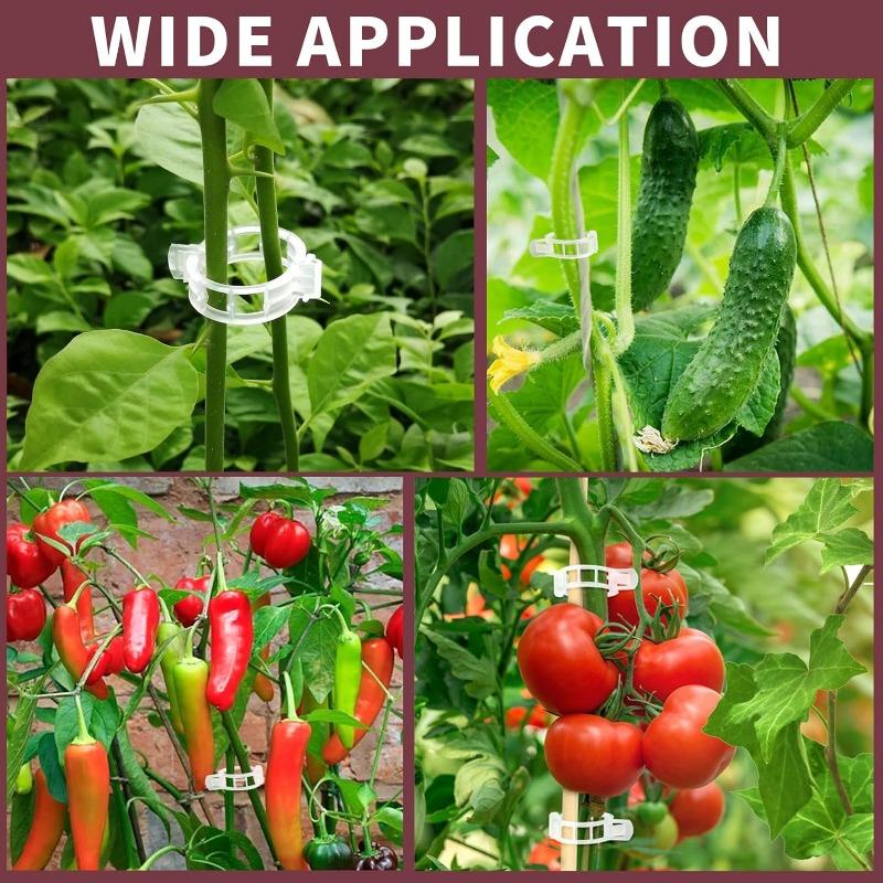 500/50Pcs Plastic Plant Support Clips Reusable Plant Vine Protection Grafting Fixing Tool for Vegetable Tomato Garden Supplies