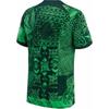 Nike Nigeria 2022/23 Stadium Home Jersey Green Spark/Pine Green/Black/White Men Streetwear DN0696-329