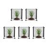 5 Pack Plant Protector from Animals 15.35'' X 15.35'' Metal Plant Cage