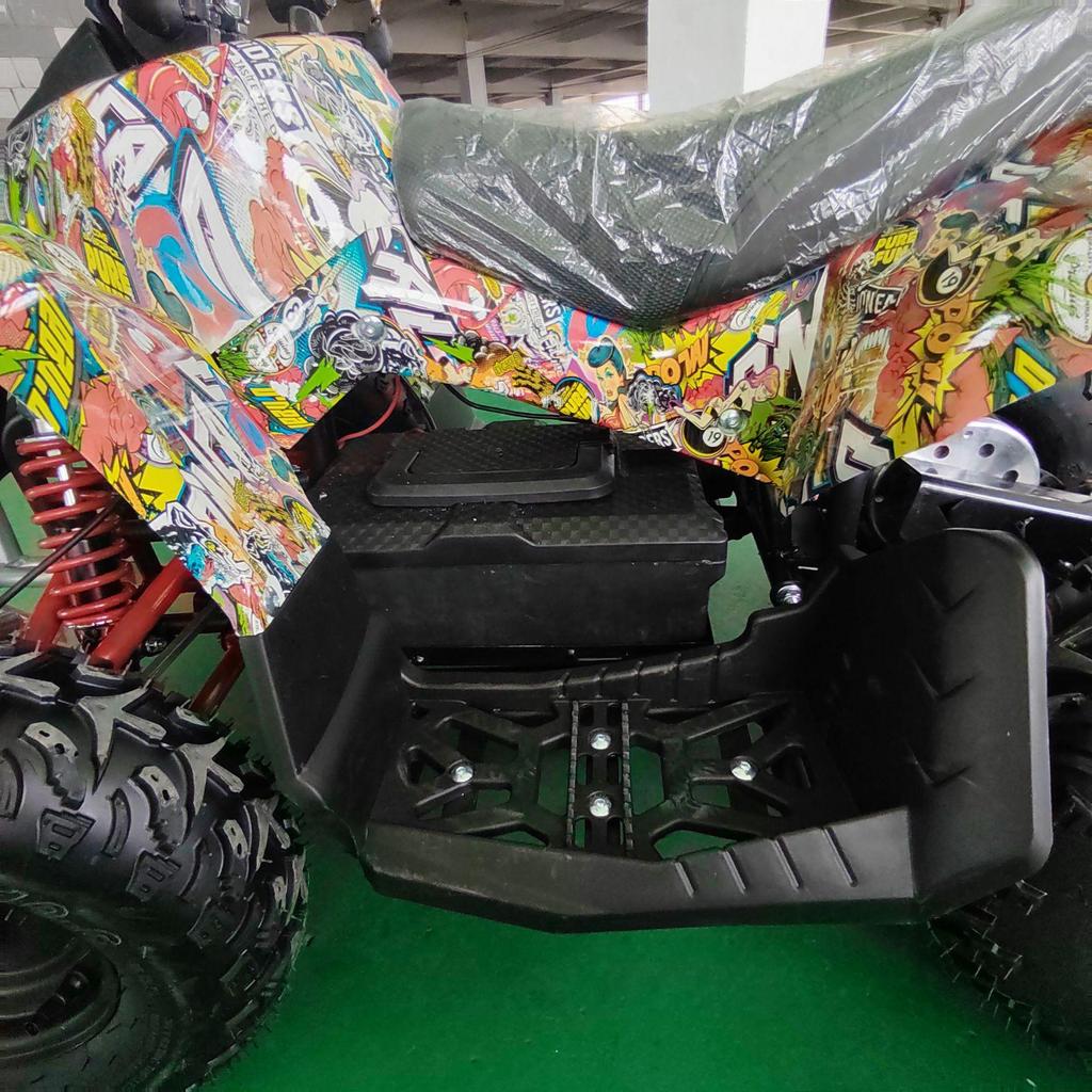 ATV Elettrico da Spiaggia, Motoneve e Veicolo Fuoristrada per Bambini 36V 800W