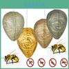 Wasp Nest Lanterns Handcrafted Eggshaped Paper Lamps For Indoor Use