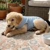 Sleeveless Cat Recovery Suit Breathable Dog Jumpsuit Comfortable Cat Weaning Suit  Daily Wear