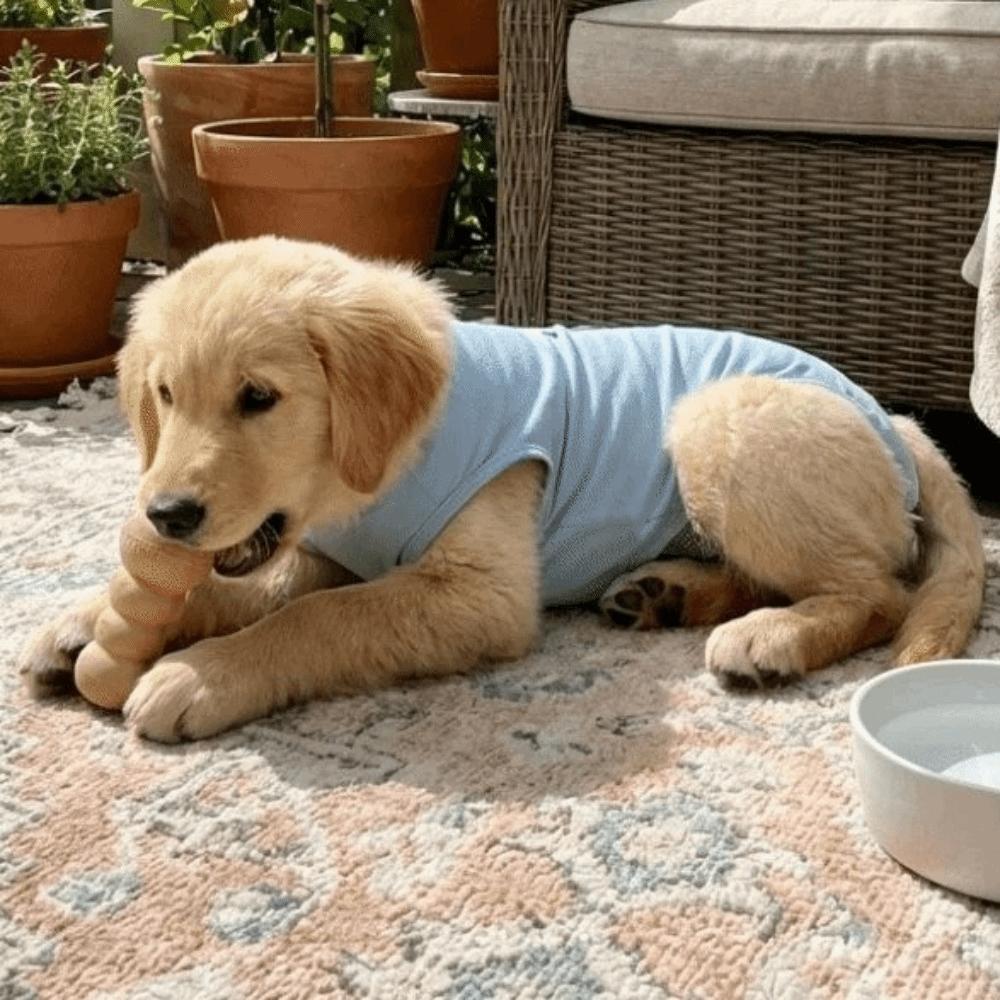 Sleeveless Cat Recovery Suit Breathable Dog Jumpsuit Comfortable Cat Weaning Suit  Daily Wear