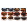 Cat-Eye Polygonal Minimalist Sunglasses Trendy Street Style UV400 Shades Eyewear for Women Summer Beach Travel Sun Glasses