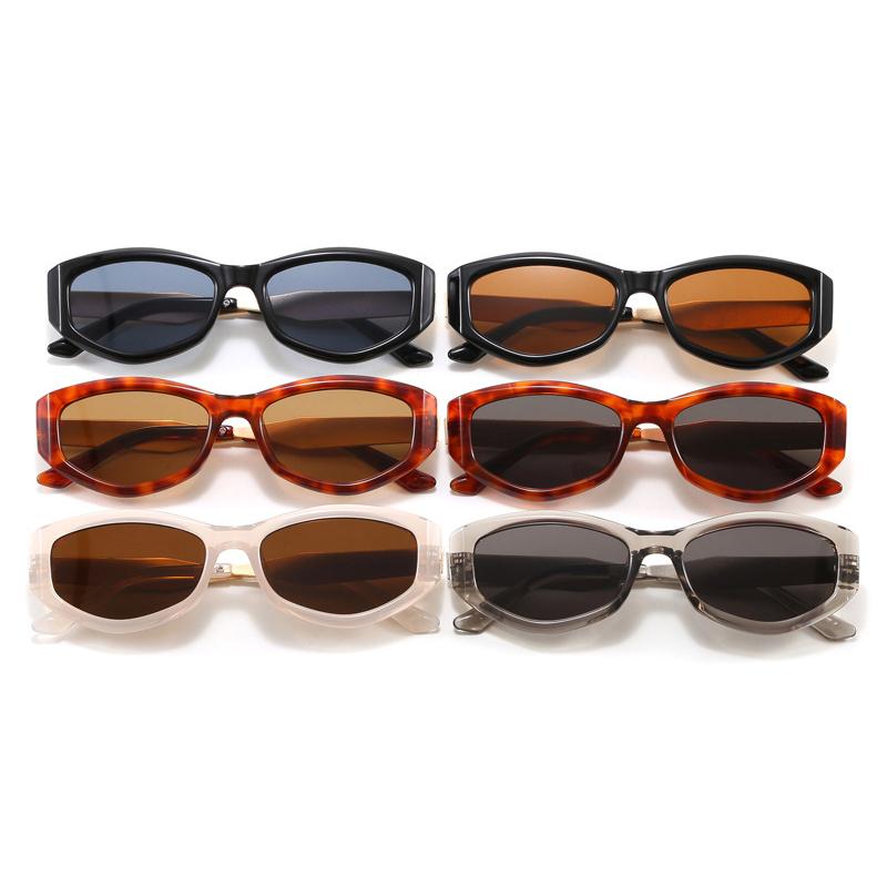 Cat-Eye Polygonal Minimalist Sunglasses Trendy Street Style UV400 Shades Eyewear for Women Summer Beach Travel Sun Glasses