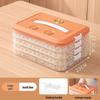 Large Capacity Multi-layer Handheld Transparent Plastic Food Storage Box for Dumplings
