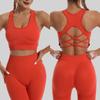 Women's Quick-Dry Seamless Sports Bra and Leggings Set - Shockproof Vest for Running and Yoga
