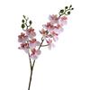 Artificial Moth Orchids 2 Fork Realistic Fake Silk Flower Wedding Party Home Office Table Centerpiece Faux Phalaenopsis Floral Branch Decoration