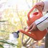 Watering Can 5L Large   Spout Flower Watering Kettle with Sprinkler Head for Outdoor Indoor Plants