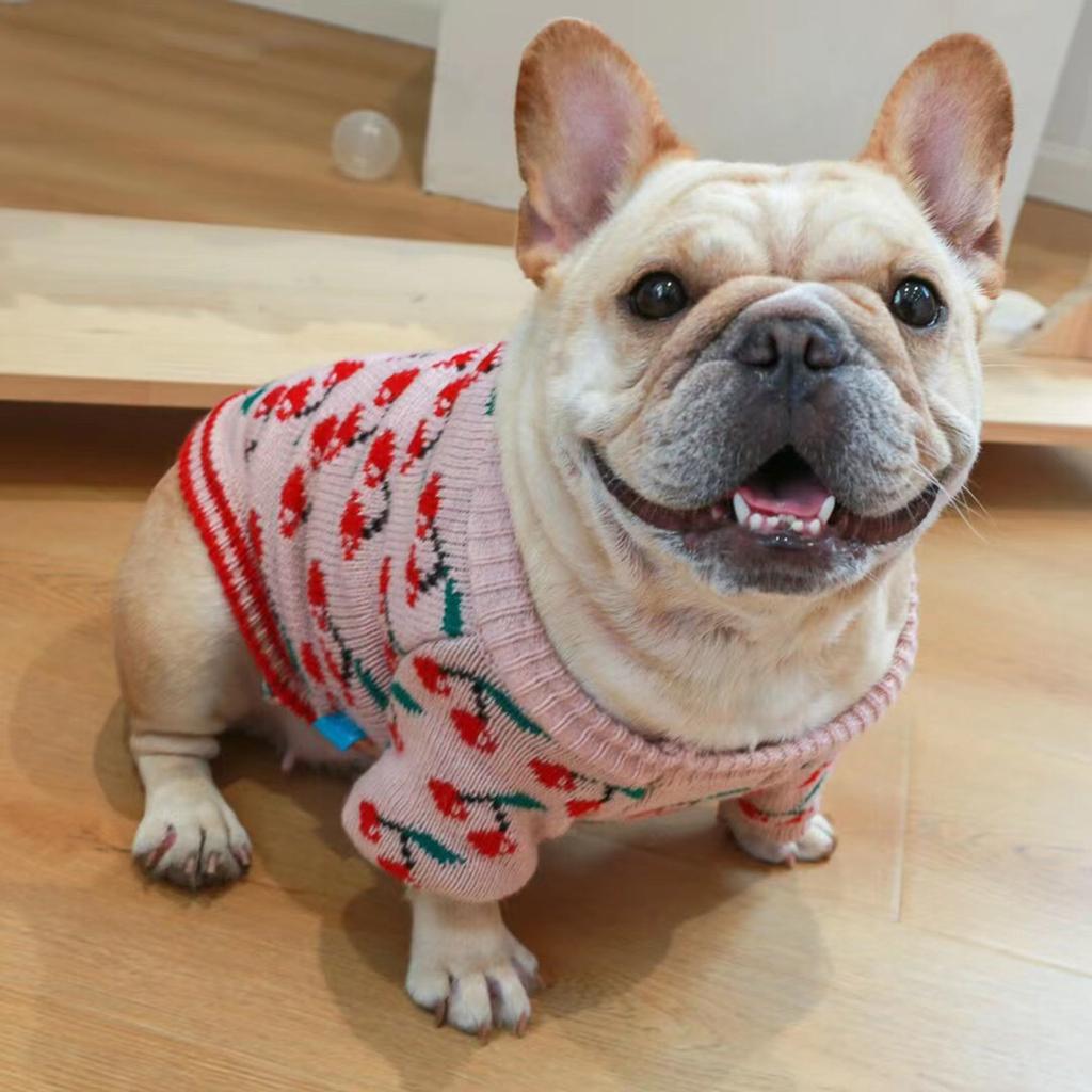 Warm Dog Clothes for Small Medium Dog Windproof Cat Sweater Pet Clothing for Christmas Outdoor Walking Sweater Winter