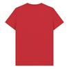 Park Fields Unisex Adult Shibuya Baseball Varsity T-Shirt