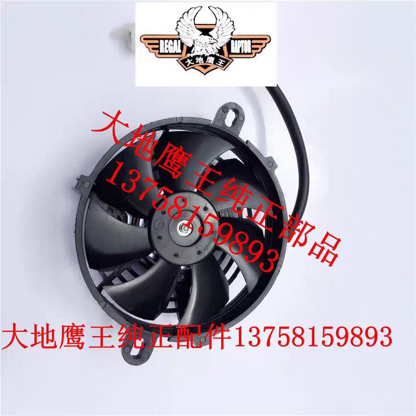 RADIATOR of Regal Raptor 250 350 DD250G-2N/3N DD350G/E-6C DD350E-9A/CE-5F