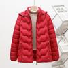 Down Cotton-padded Short Winter New Fashion Warm Cotton-padded Slim-fit Hooded Women's Padded Jacket