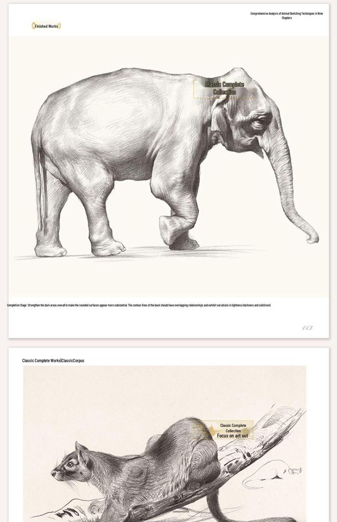 Classic Animal Sketching Techniques: Beginner's Hardcover Self-Study Guide