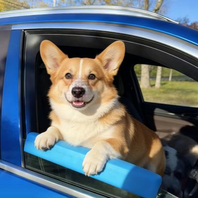 Poggiamento per Finestrino Auto per Cani Cuscino Poggiamento Universale per Animali Domestici per Proteggere Mascella Denti Collo del Cucciolo Durante i Viaggi con Finestrino Abbassato