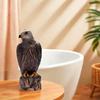 Funny Lifelike Garden Eagle Statue Waterproof Sturdy Birds Decoy Hawk Realistic Resin Crafts Falcon Statue Outdoor Courtyard
