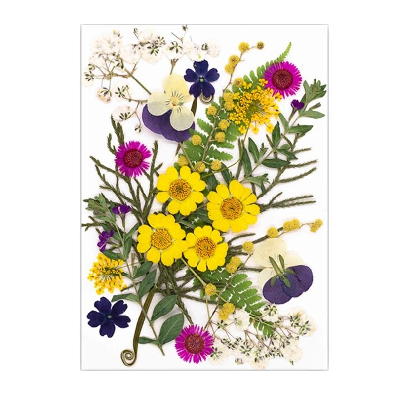 25Pcs Natural Pressed Dried Flower Leaves Set For Jewelry Soap Making